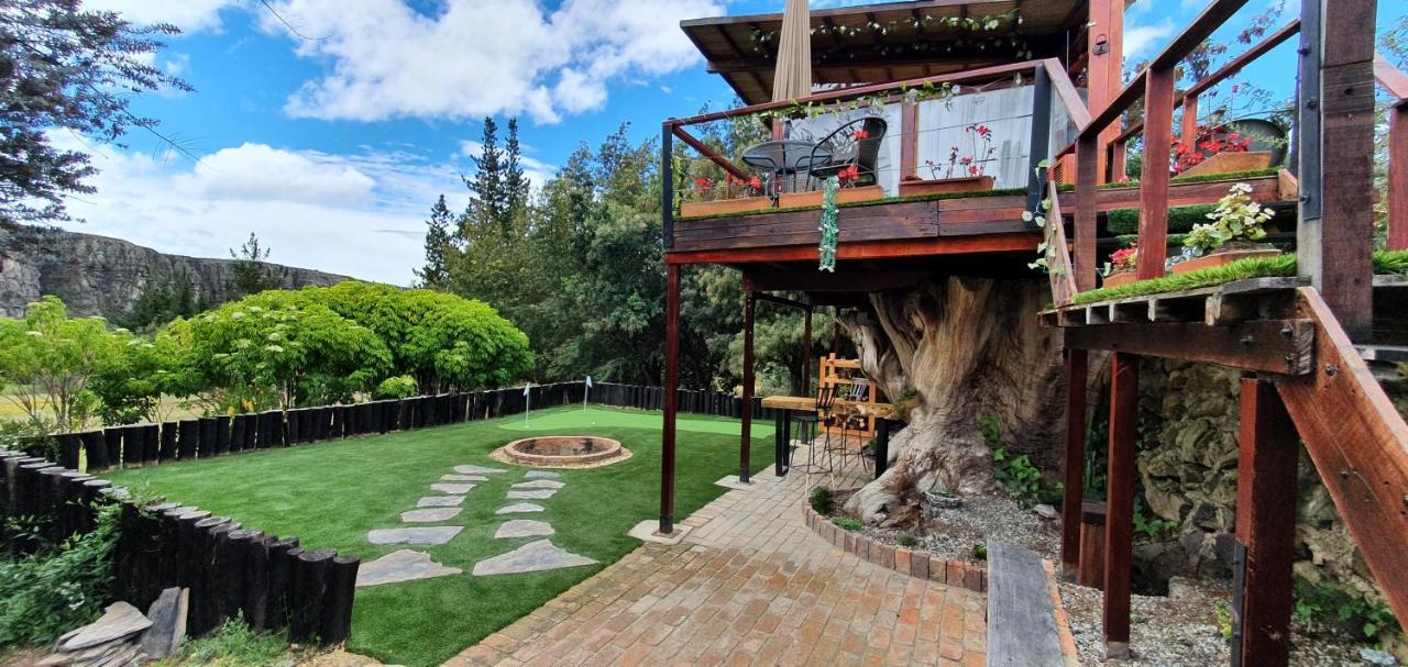 スエスカ Casa En El Arbolヴィラ エクステリア 写真