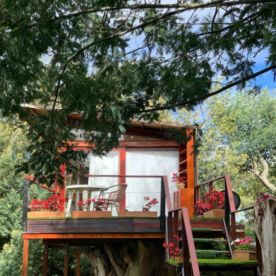 スエスカ Casa En El Arbolヴィラ エクステリア 写真